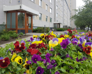 Ingenjörsgatan 4